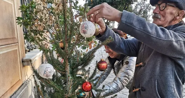Comune non ha soldi per alberi, ci pensa un privato
