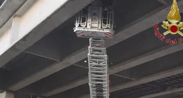 Giù calcinacci viadotto A12,nessun danno