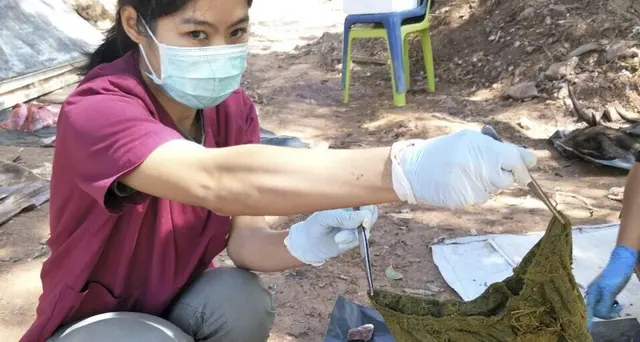 In Thailandia bando a sacchetti plastica