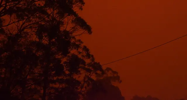 Incendi, Sydney a rischio blackout