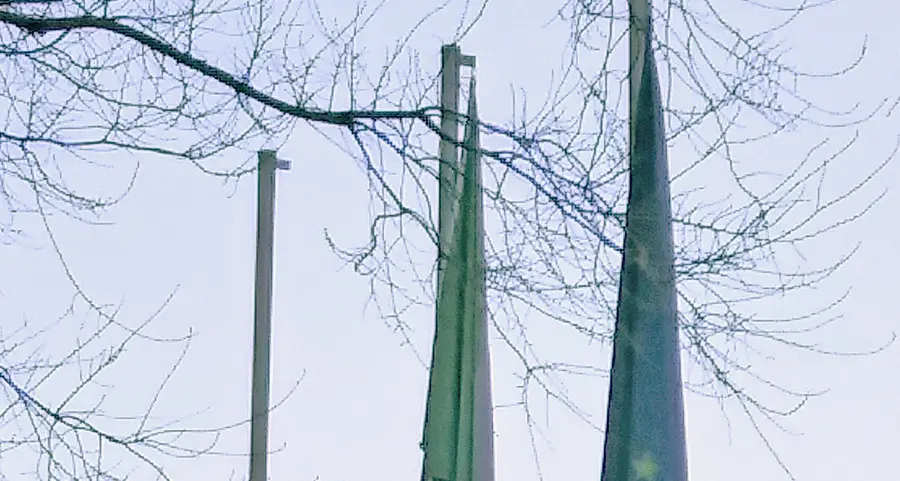 Piani, tricolore e drappo Ue ridotti a brandelli