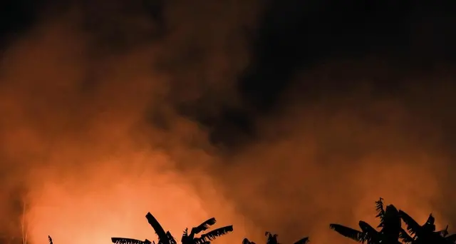 Amazzonia, +30% gli incendi boschivi
