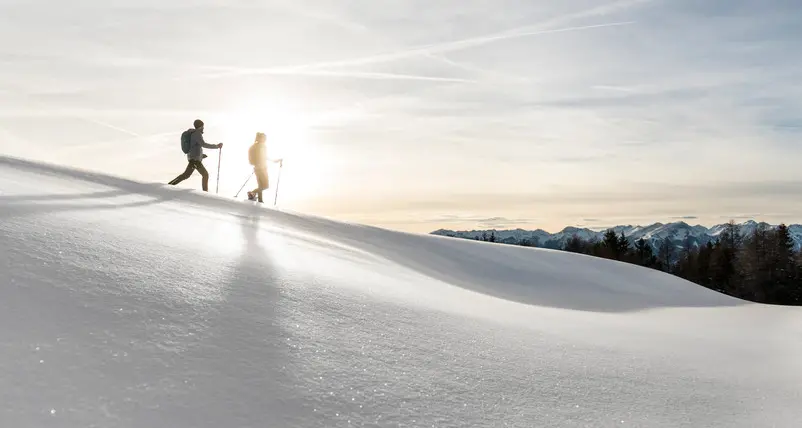 Tutti sulla neve, tra passeggiate e divertimento
