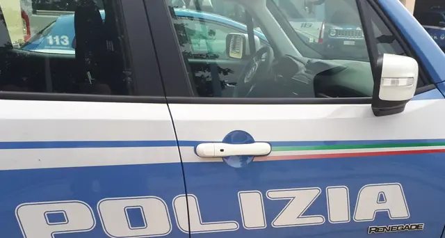 Pantera avvistata nel Foggiano, ricerche