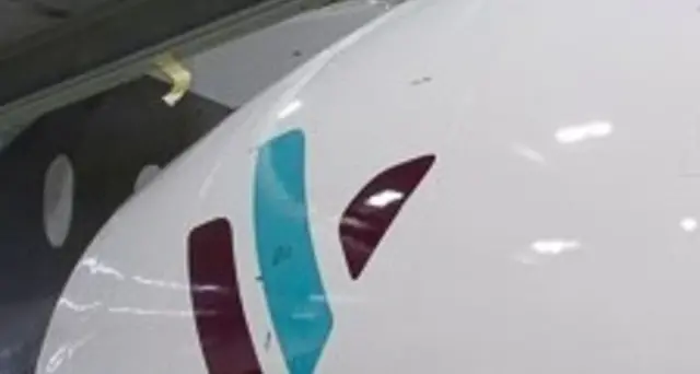 Guasto aereo Air Italy, \"fumo e panico\"