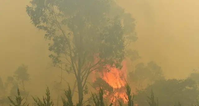 Australia, si schianta aereo antincendio