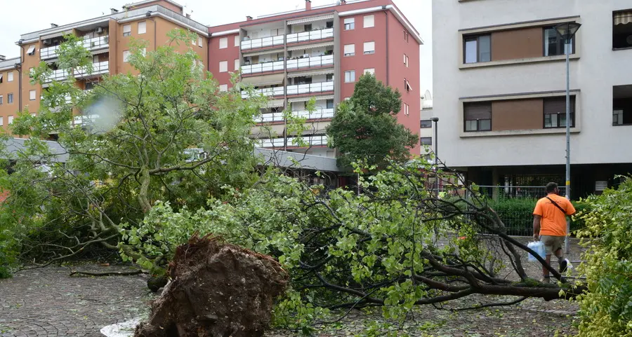 Caldo, smog, uragani L’emergenza clima cambia Bolzano