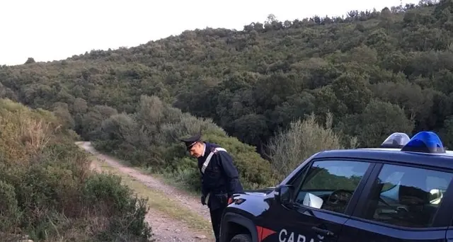 Nuovo incidente di caccia in Sardegna