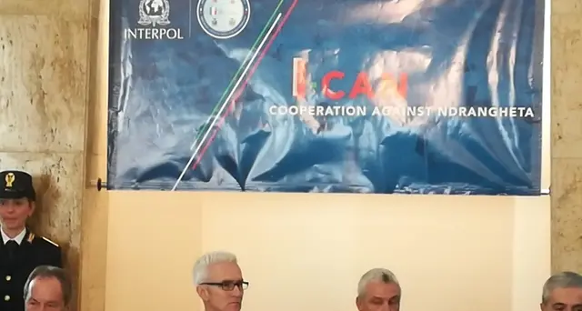 Interpol, piattaforme comuni contrasto