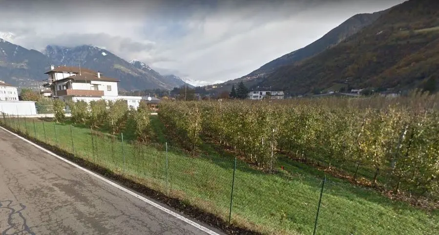 Sinigo litiga sull’area cani «Noi lì non la vogliamo»