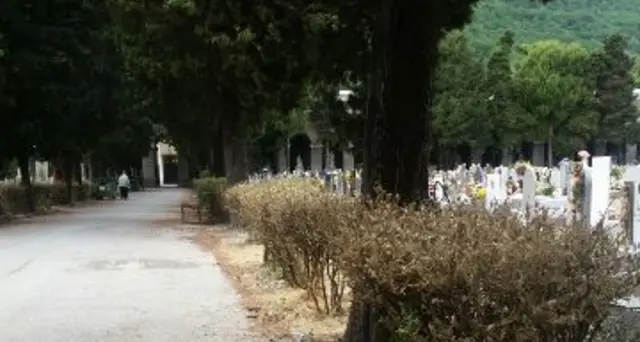 Oltre 700 a concorso onoranze funebri