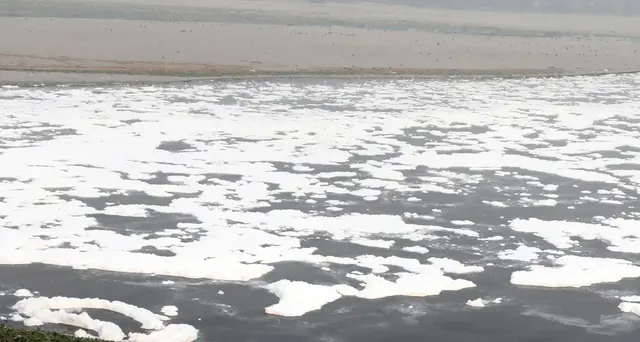 Arriva Trump, India pulisce acqua fiume