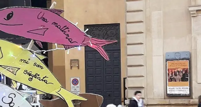 Sardine, eventi più vicini a territori