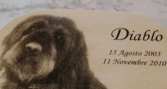 Liguria, sepoltura animali col padrone