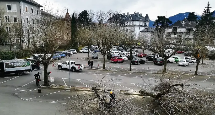 Motoseghe al parking Wolf Sacrificati altri 30 alberi