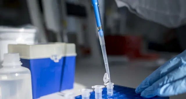 Coronavirus, in E-R 115 casi, 6 più seri