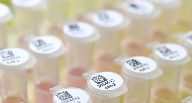 Coronavirus, seconda vittima Marche