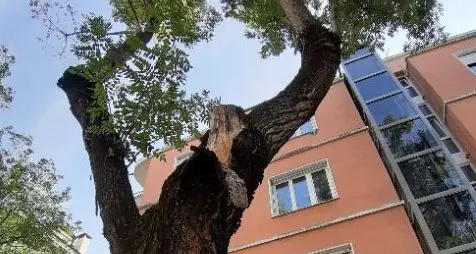 Ponte Adige, via ai lavori per il parcheggio da 110 auto