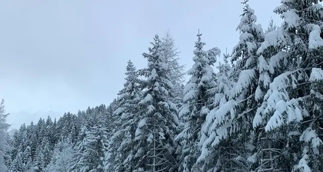 Bolzano, male Alto Adige zona rischio