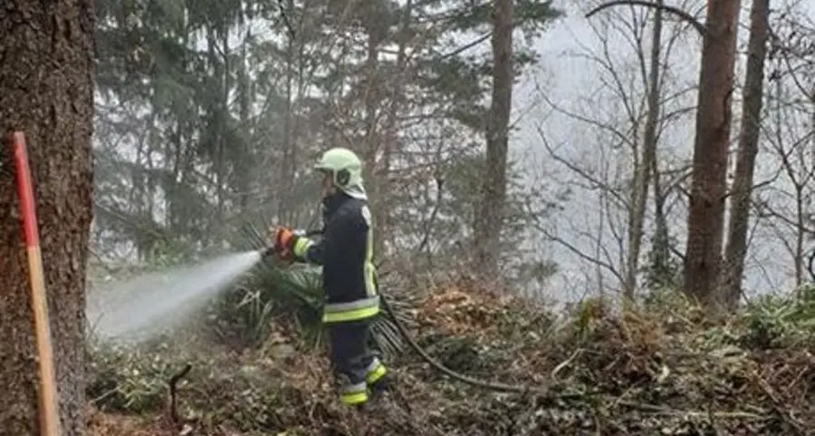 Principio d’incendio nel bosco