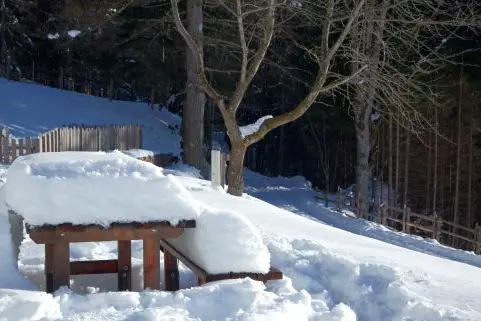 Le panchine di Cauria ricoperte dalla neve di marzo