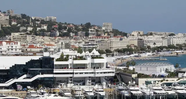 Cannes, in caso di stop non avrà copertura assicurativa