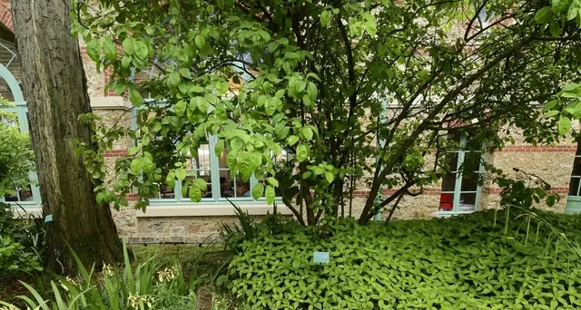 Parigi chiude parchi e giardini