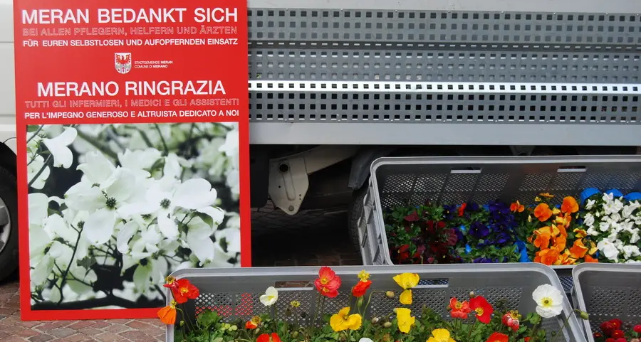 I fiori dei centri giovani “stoppati” dal Comune
