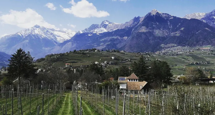 Merano fotografata della vostra finestra