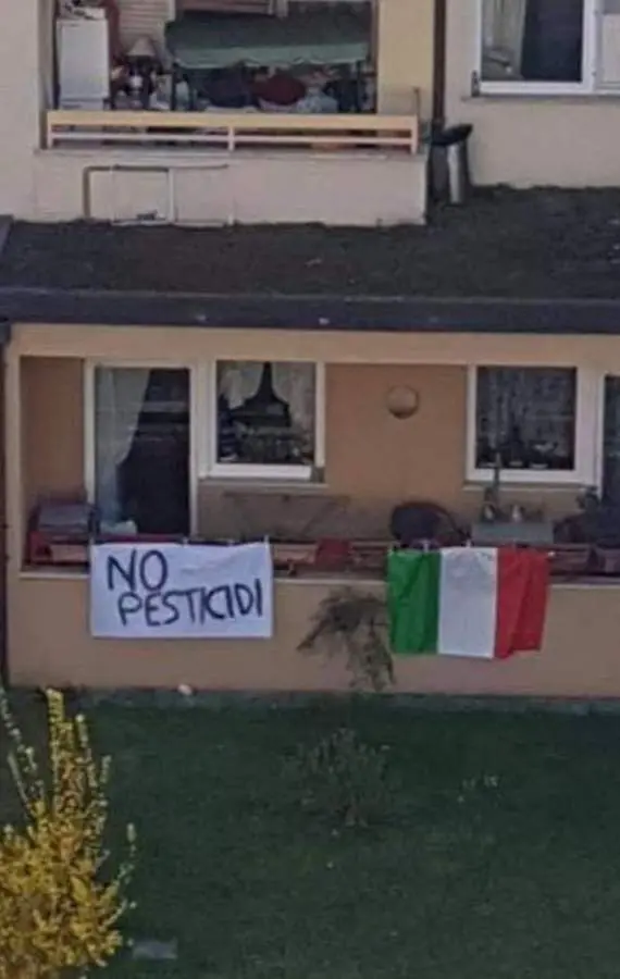 A Sinigo striscioni e proteste: «Basta pesticidi in agricoltura»