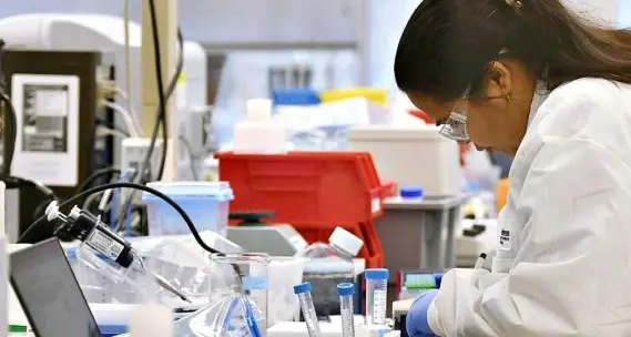 «Il vaccino? Forse entro l’anno Ma per averlo ci vorrà molto»