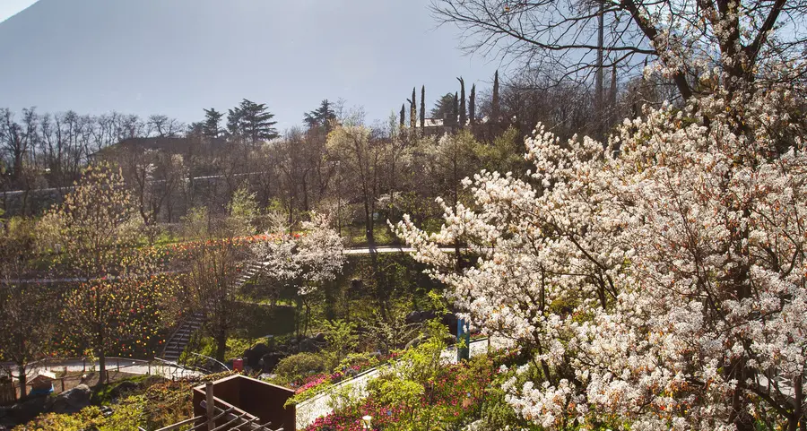Il Trauttmansdorff fiorisce aspettando i visitatori