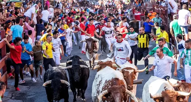 Annullata la corsa dei tori di Pamplona