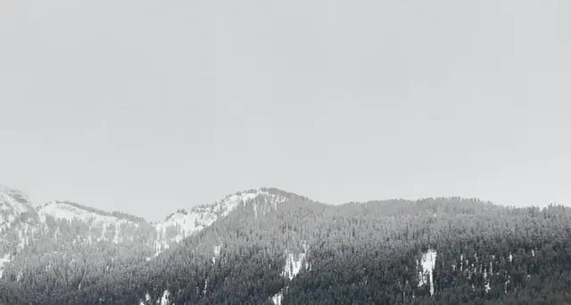 Caos e disagi per neve sulle Dolomiti