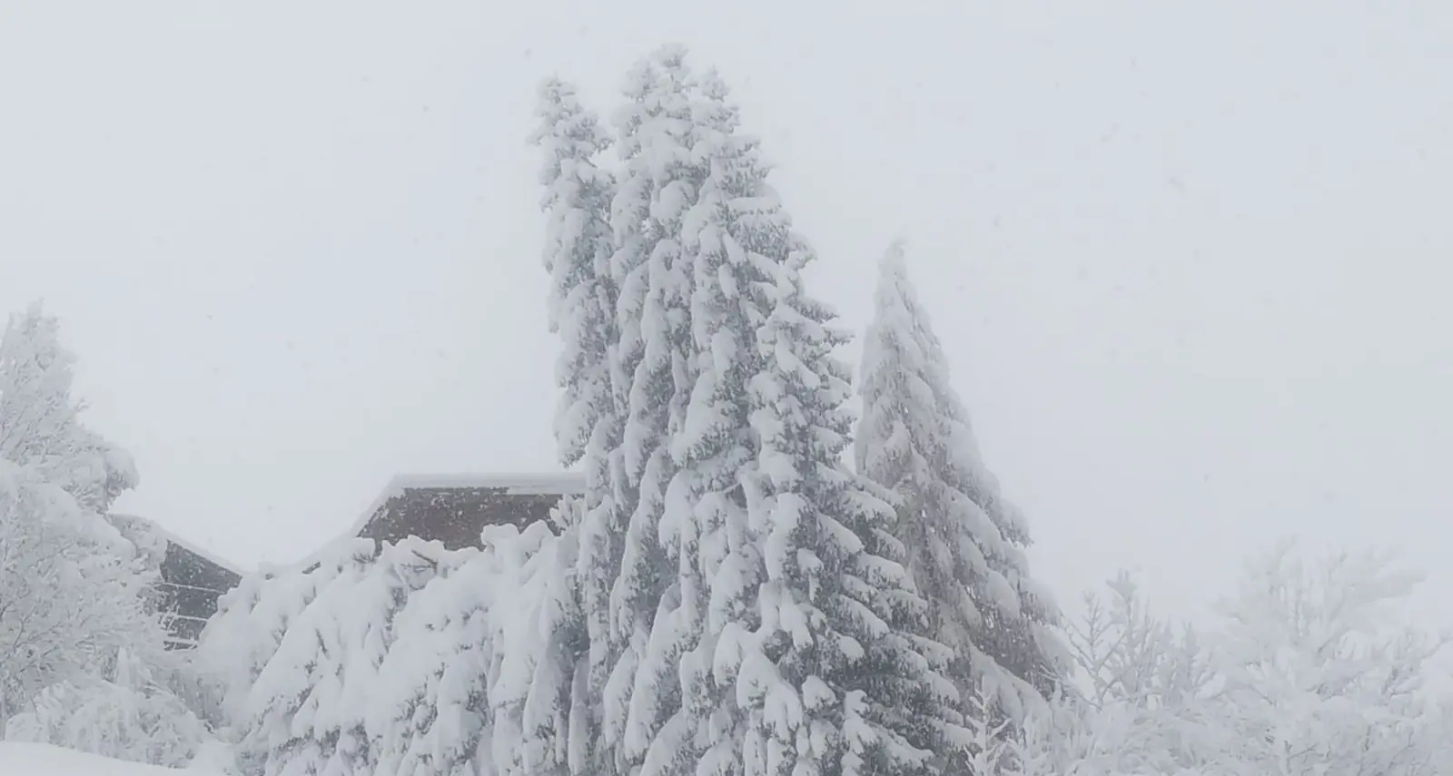 Neve in Alto Adige, in 15.000 senza corrente elettrica. Venerdì altri 60 centimetri