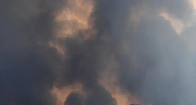 Incendi in Australia, 'è catastrofe'