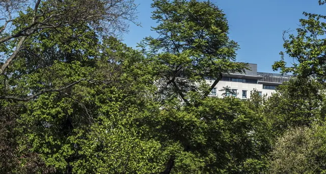 Austria, il 4/5 riaprono le scuole