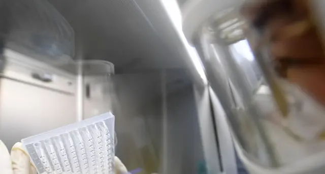 Pompeo, virus viene da laboratorio Wuhan