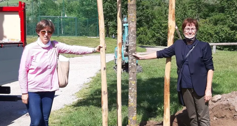 Sui prati del Talvera piantato un frassino per ricordare i nuovi nati