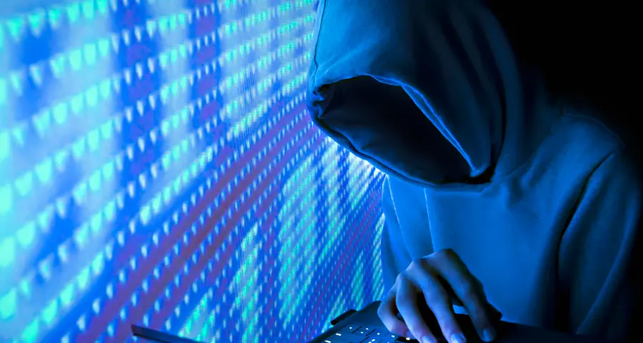 Alla videolezione della scuola elementare spunta un'immagine porno