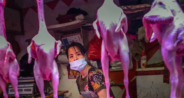 Wuhan vieta carne selvaggina per 5 anni