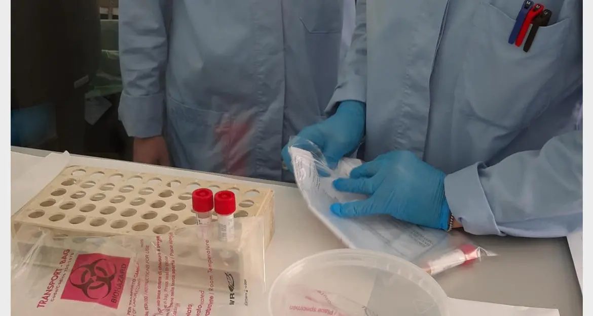 Coronavirus, in Trentino nessun decesso e 16 contagi. Apertura da lunedì di piscine e palestre