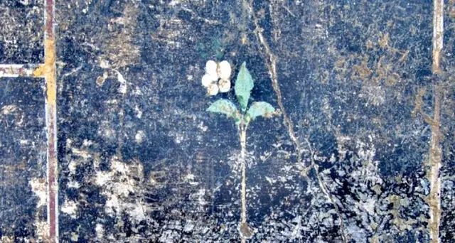 A Pompei il mistero della piccola Mummia