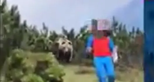 Sul New York Times l'incontro ravvicinato del ragazzino con l'orso a Sporminore