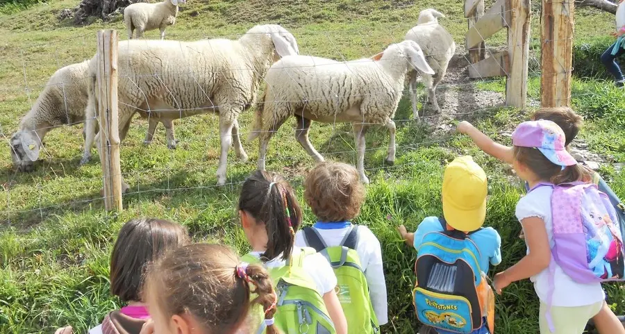 Attività estive per bimbi Più soldi alle associazioni