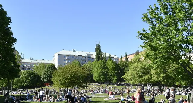 Svezia, nuovo aumento casi, 1.000