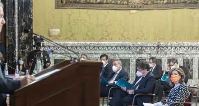Visco, no rischi in utilizzo Mes ma non è una manna