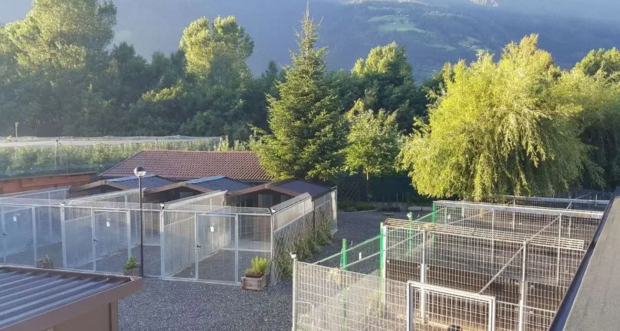 Poche settimane allo sfratto Il canile di Naturno è nei guai