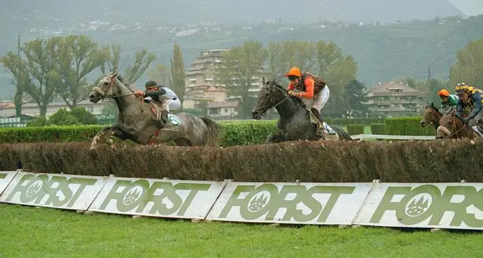 Ippica, a rischio l'ippodromo di Merano