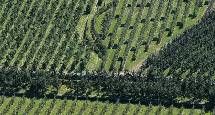 Malles, la lotta ambientalista torna a organizzarsi in Venosta
